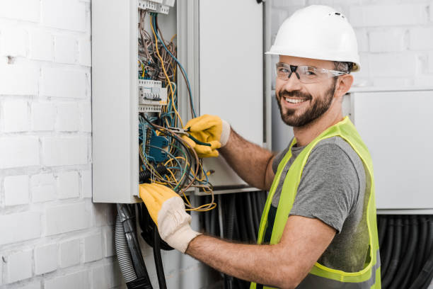 Best Electrical System Inspection  in Lake Delton, WI