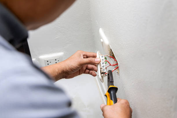 Best Home Electrical Repair  in Lake Delton, WI